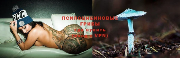 a pvp Абаза