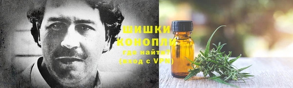 мяу мяу кристалл Няндома