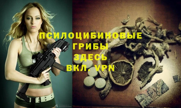 mix Абинск