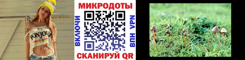 Псилоцибиновые грибы ЛСД где купить наркотик Туран